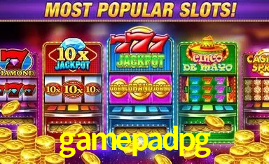 Interface Premium gamepadpg